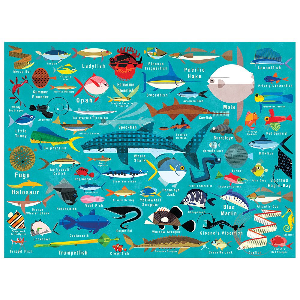 Puzzle 1000pcs Vida Del Oceano Mudpuppy image number 0.0