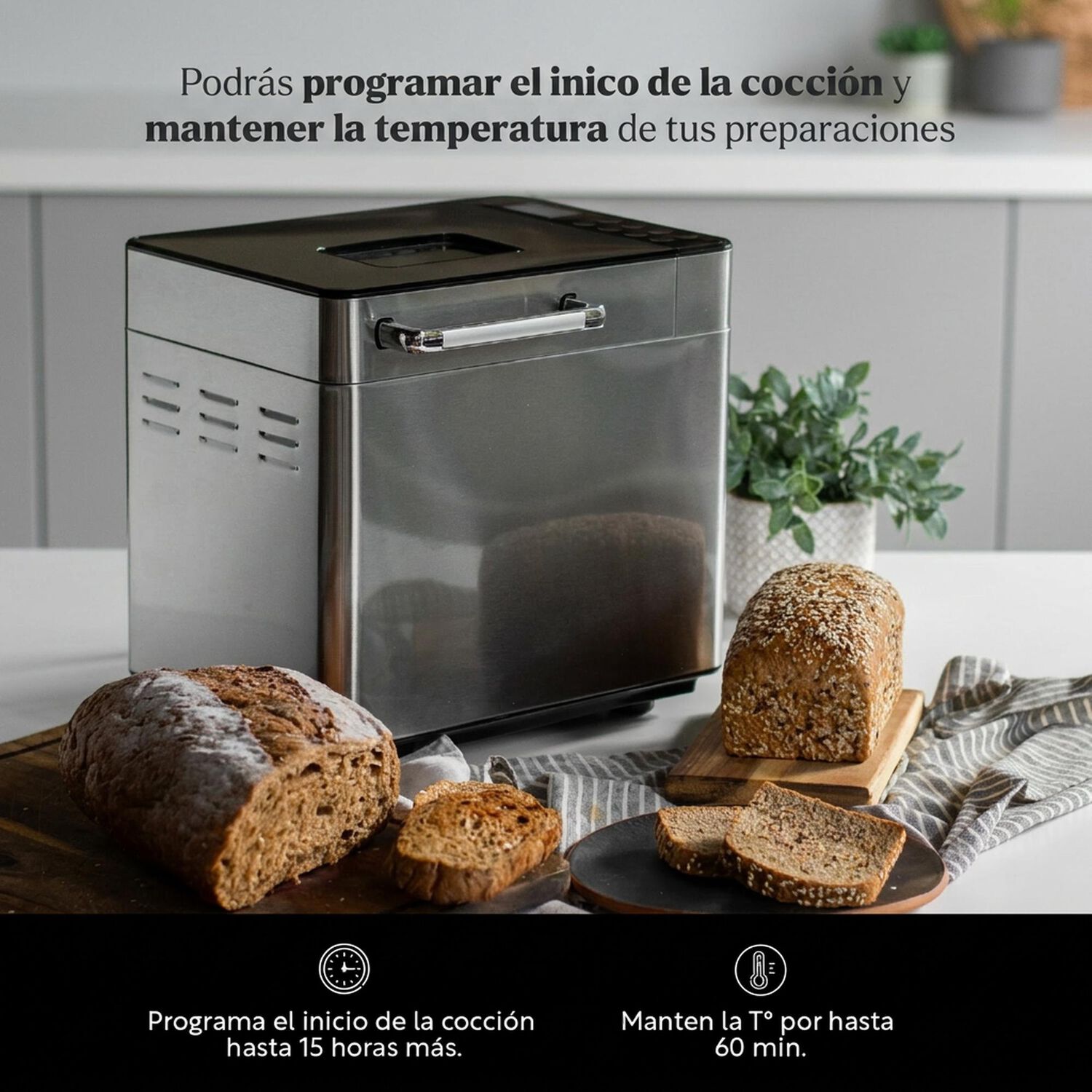 Maquina De Pan Multi Bread 1kg Easyways image number 3.0