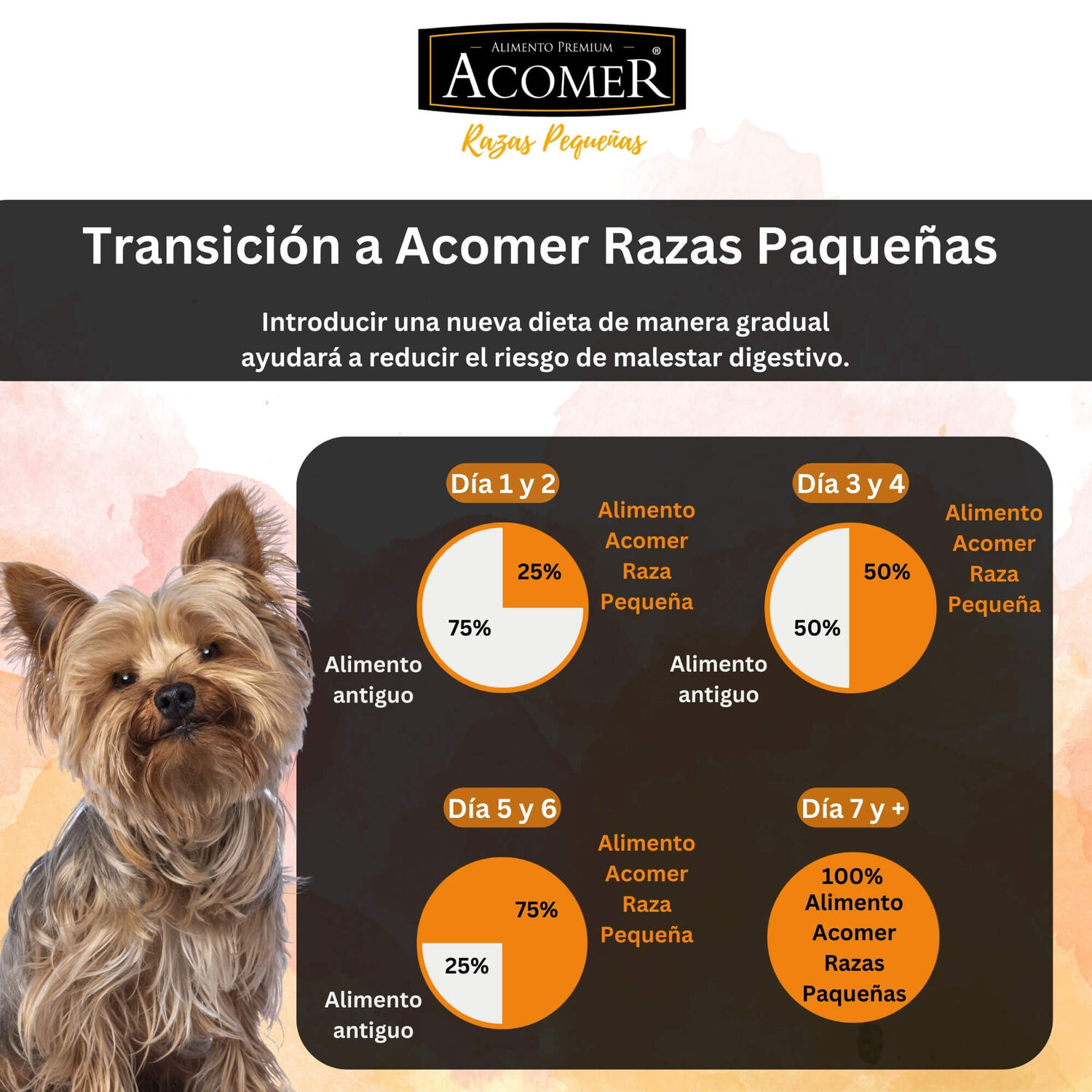 Alimento Para Perro Adulto Raza Peque&ntilde;a Acomer 10kg image number 4.0