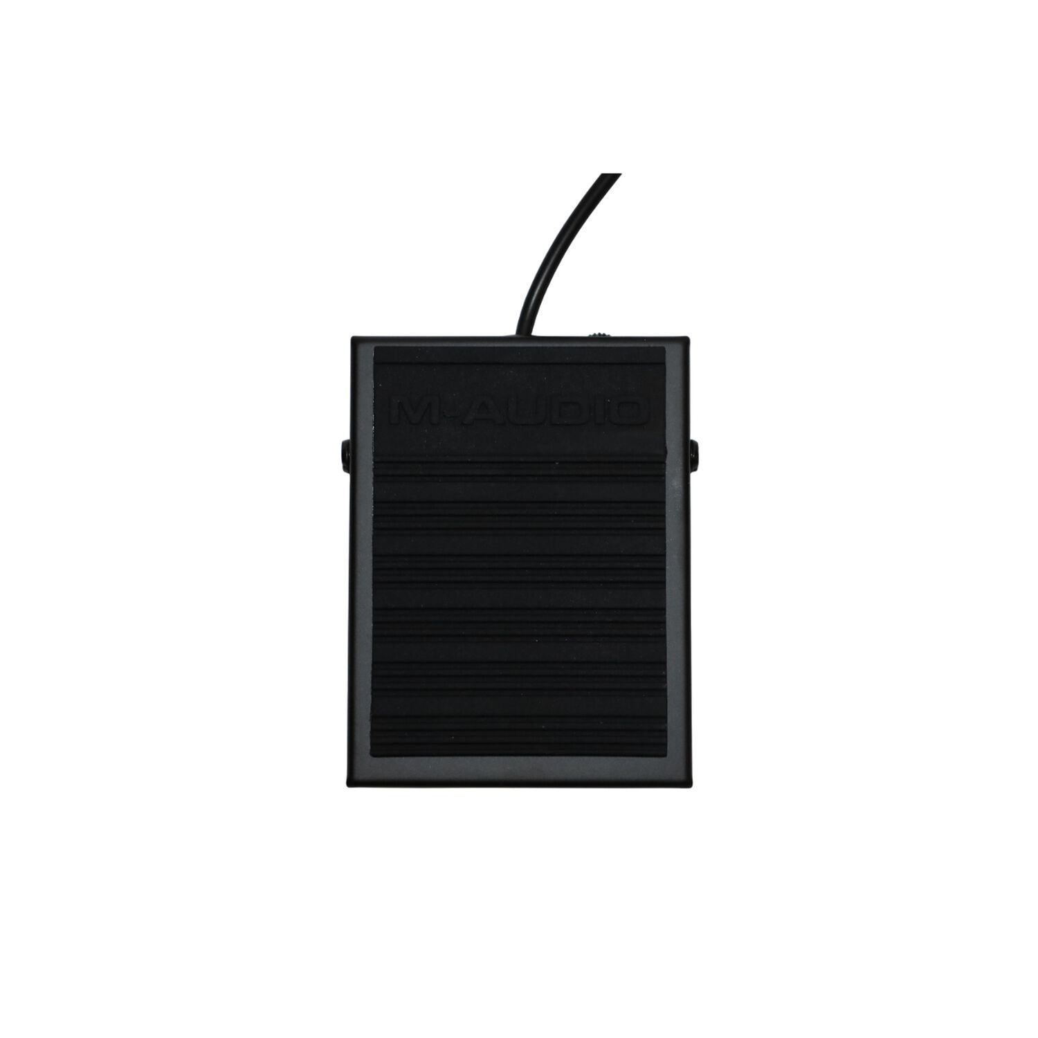 Pedal Sustain Sp-1 M-audio image number 4.0