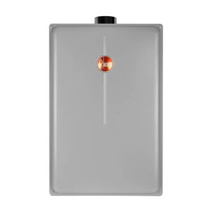 Calefont 28 Litros Gas Licuado Tiro Forzado Rheem