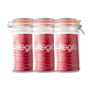 Set 3 Frascos Con Tapa De Vidrio Hermetica De 1000ml Allegra