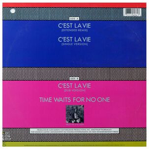 Robbie Nevil - C'est La Vie | 12" Maxi Single Usado