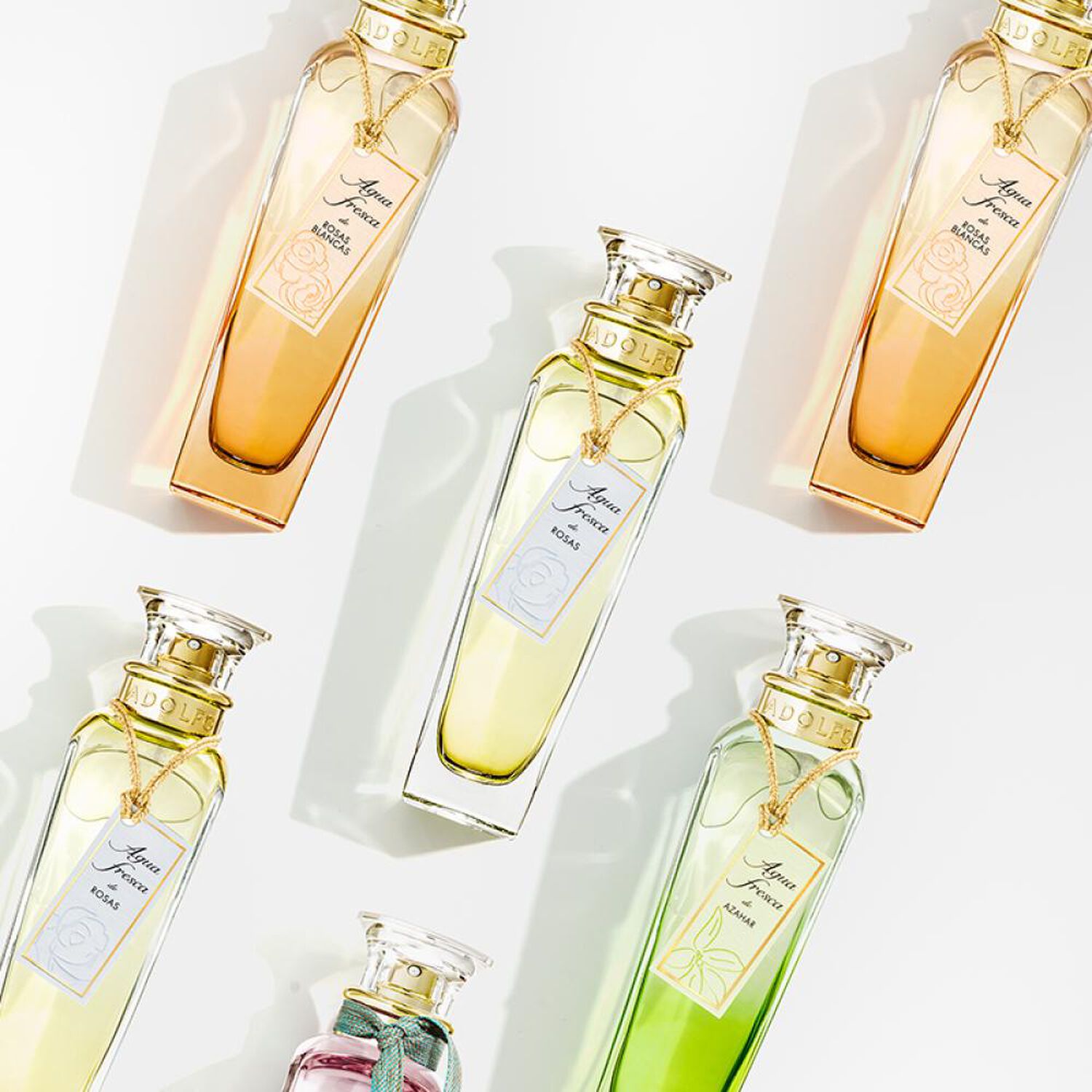 Perfume mujer Agua Fresca Mimosa Coriandro Edt 120 Ml Adolfo Dominguez image number 5.0