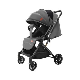 Coche Paseo Reversible Con Mosquitero Focus Gris Lubabycas