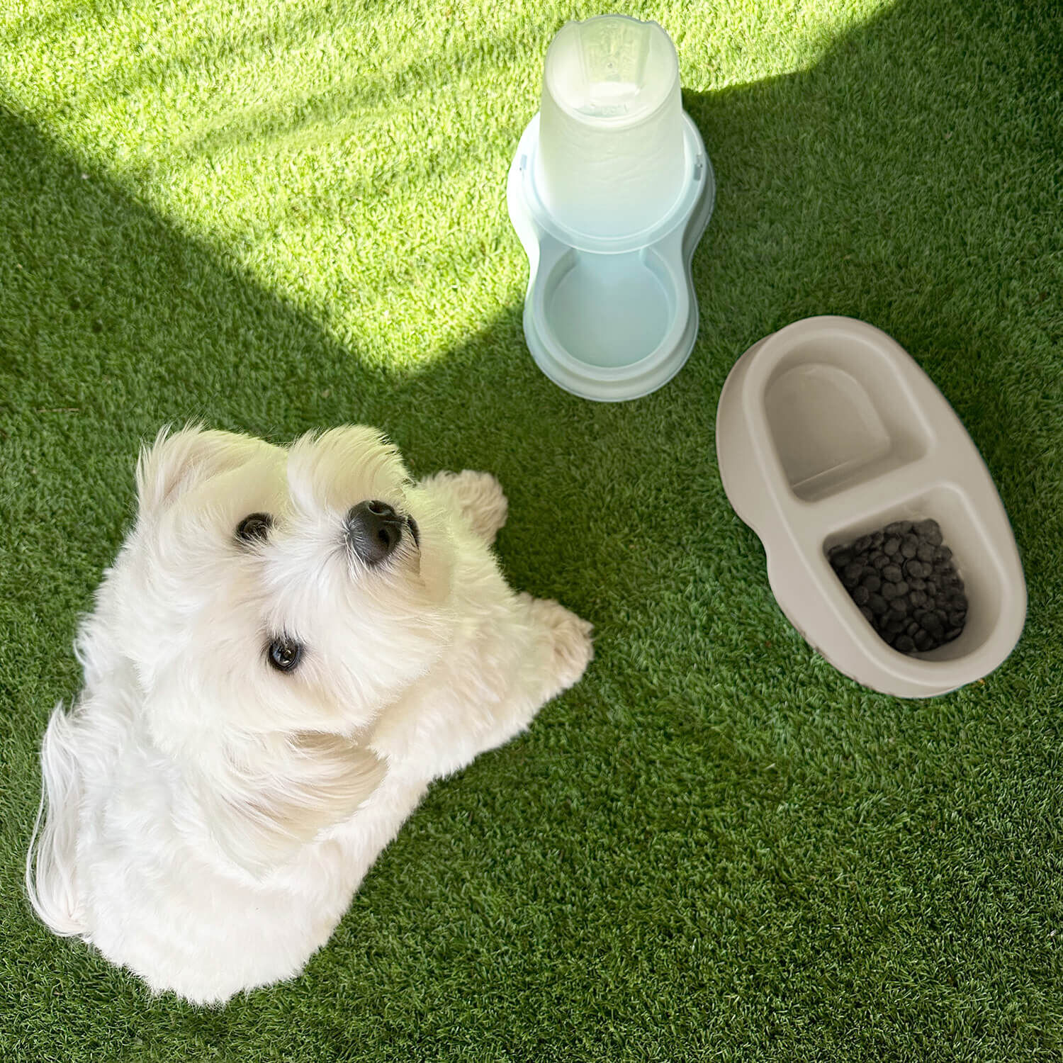 Comedero Bebedero Doble Para Mascota Beige 100ml Cool Pets image number 2.0