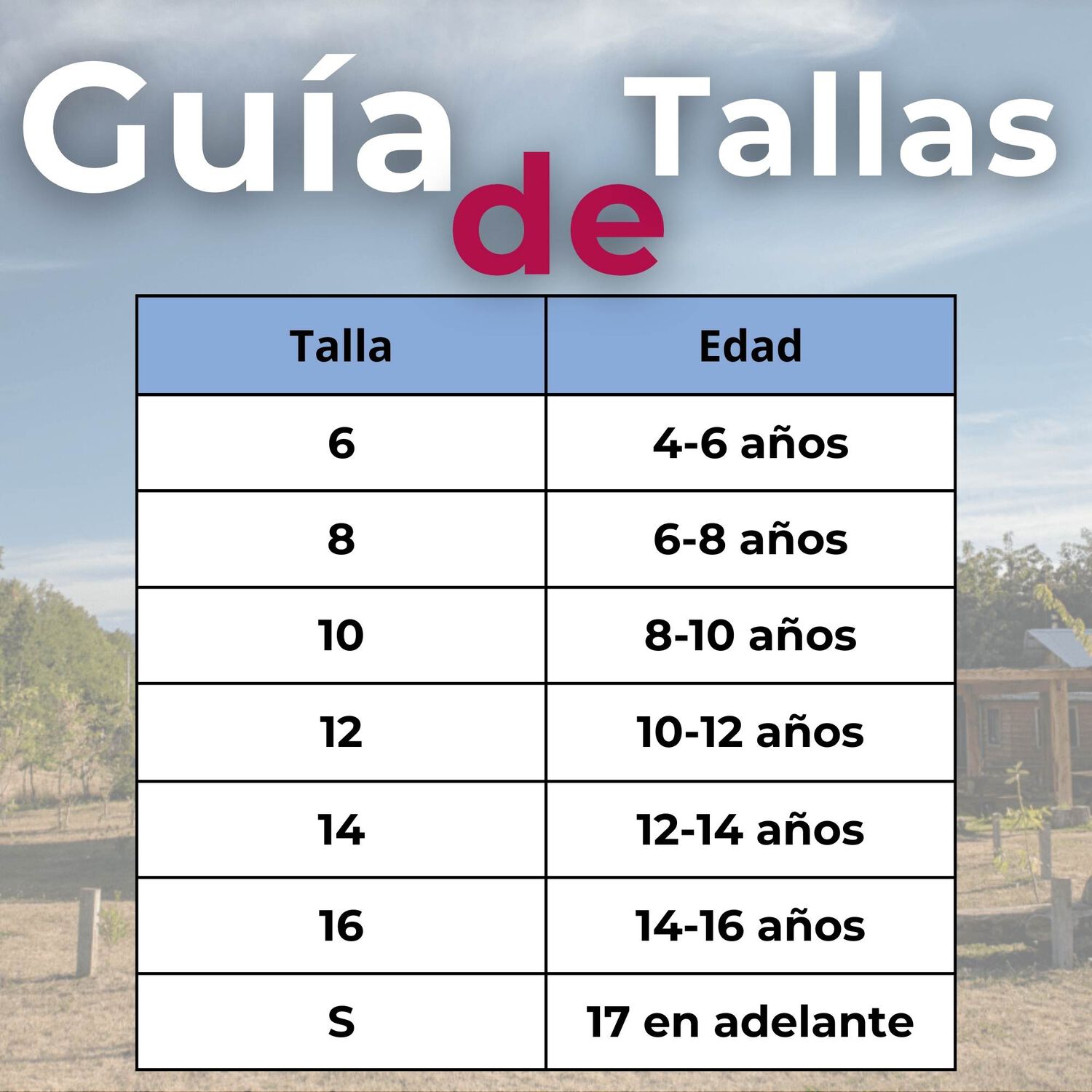 Traje Vestido Mapuche Ni&ntilde;a 4 A&ntilde;os Hasta Talla S Vestimenta T&iacute;pica image number 2.0