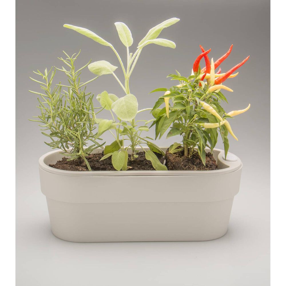 Macetero Huerta Auto Riego Beige 29 X 11 Cm image number 3.0