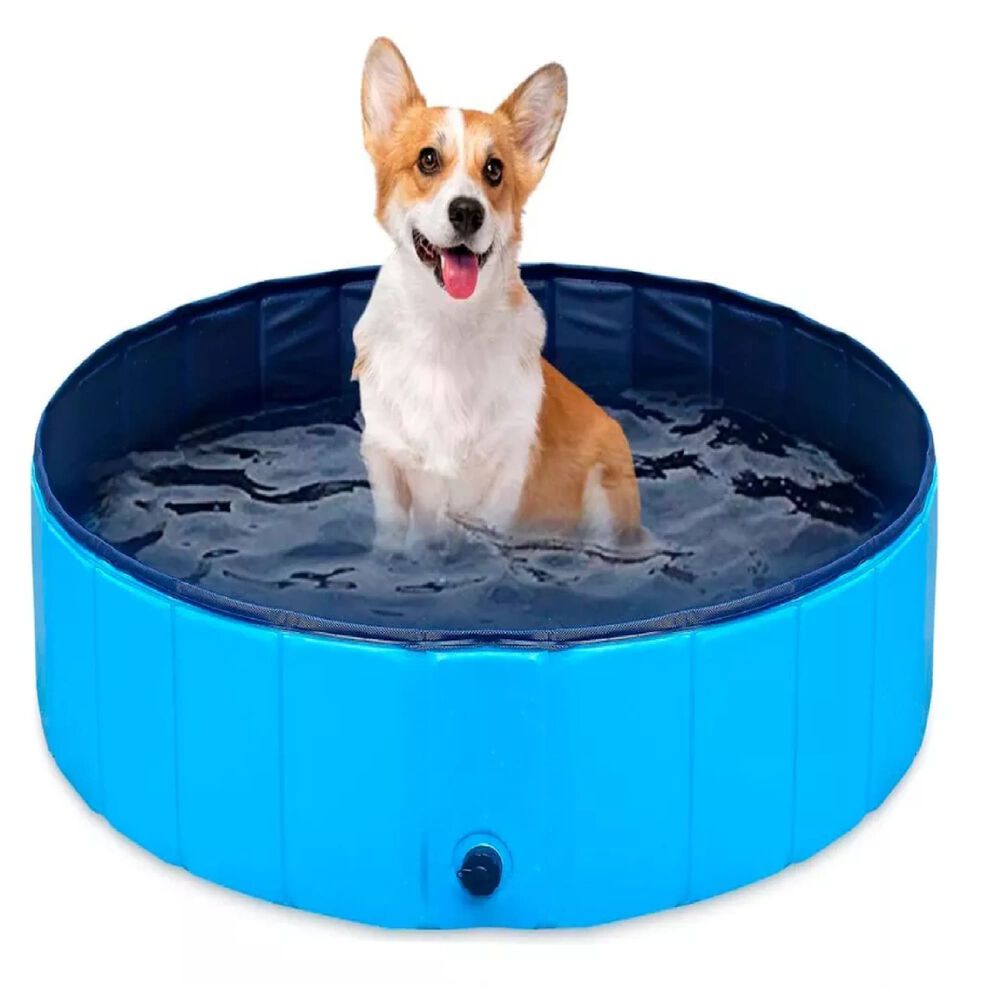 Piscina Pileta Plegable Para Mascotas Niños 120x30 image number 0.0