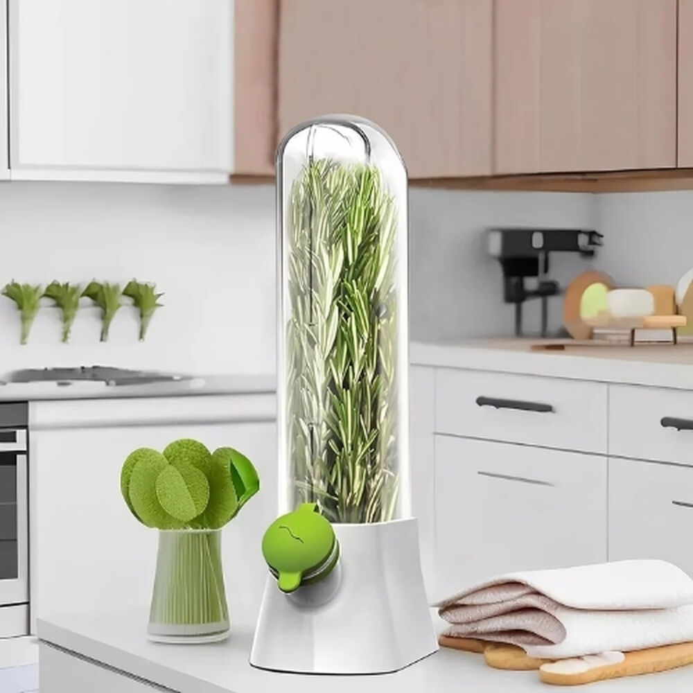 Envase Conservador De Hierbas Cilantro Perejil Refrigerador image number 3.0
