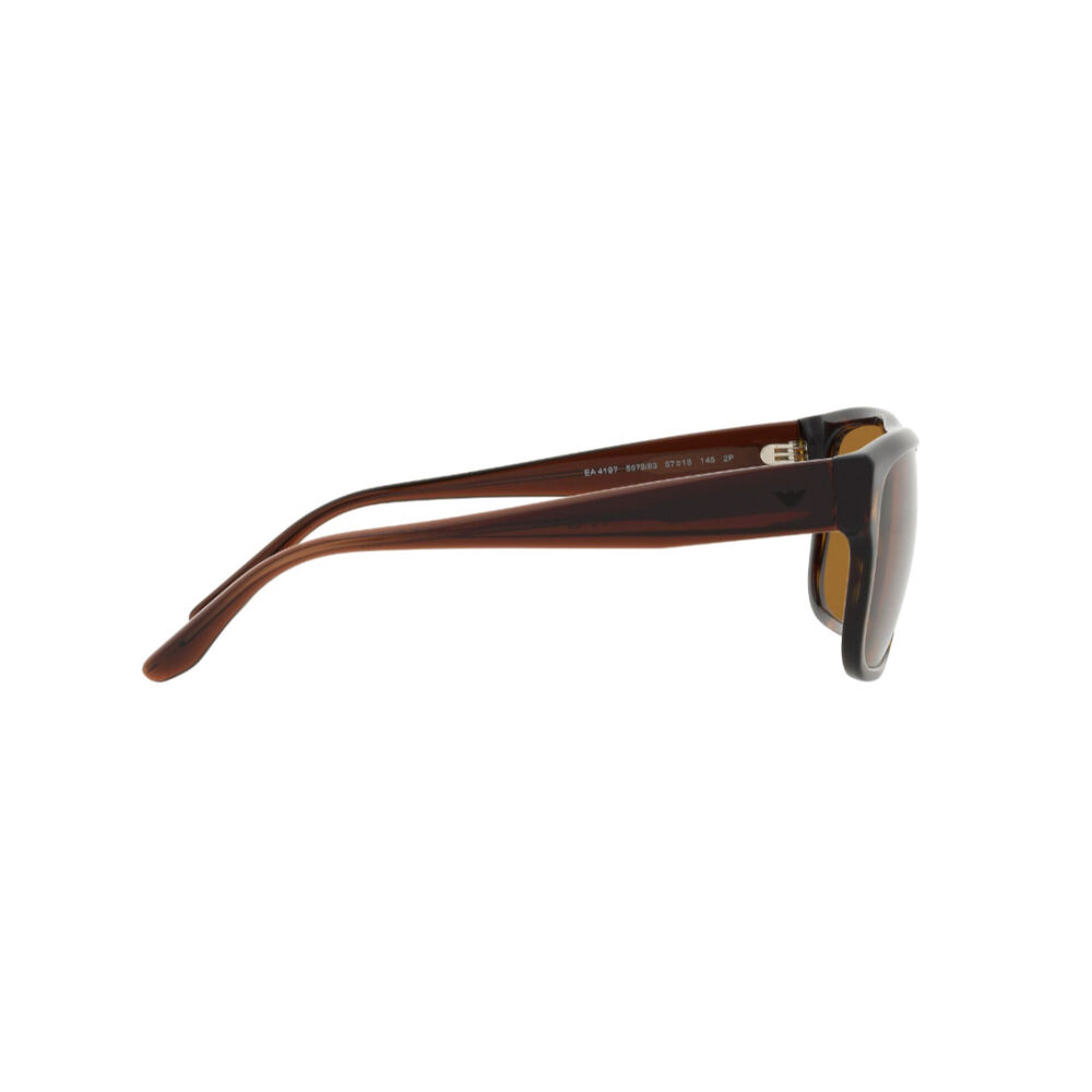 Lentes De Sol Havana Polarizado Emporio Armani image number 9.0
