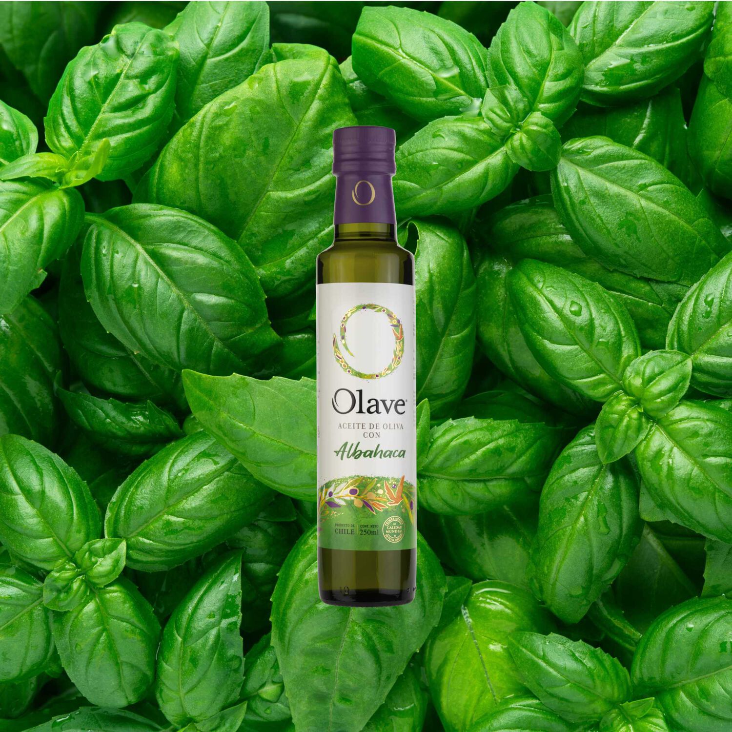 Aceite Oliva Extra Saborizado Olave Albahaca 1 X 250 Ml image number 1.0