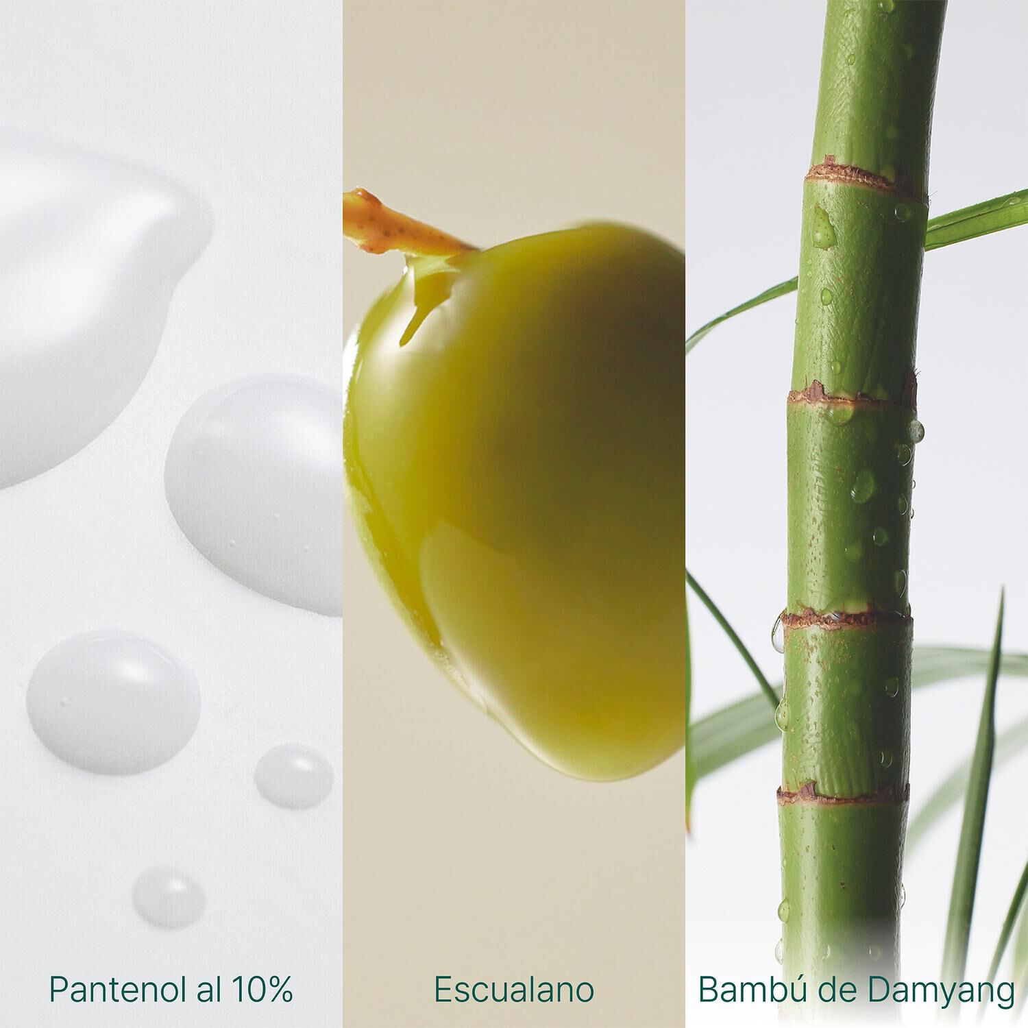 Crema Facial Mighty Bamboo Panthenol 100ml Purito Hidratante image number 4.0