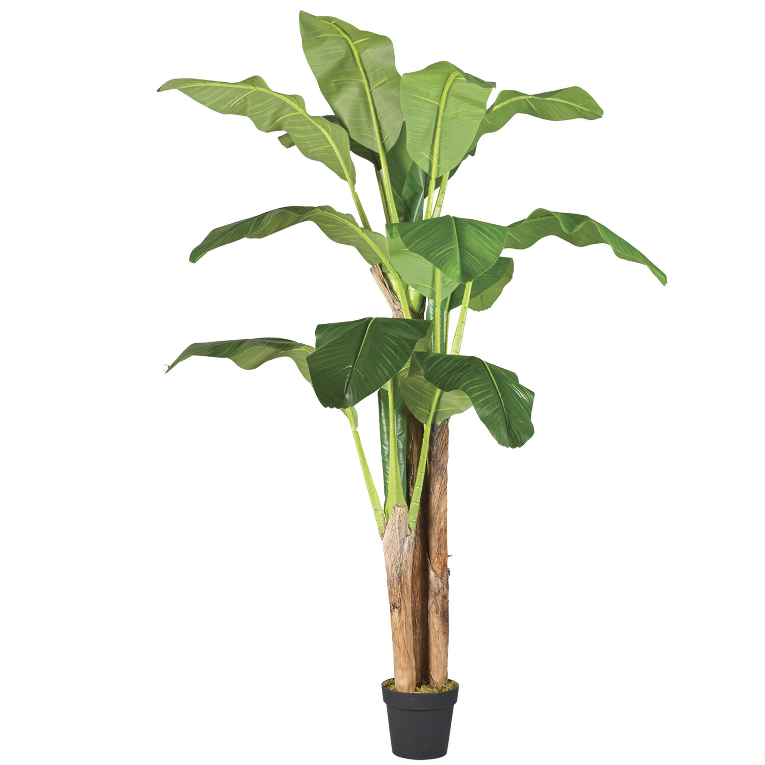 Planta Artificial Banano Premium 180 Cm. / 14 Hojas / Arbusto Real image number 2.0