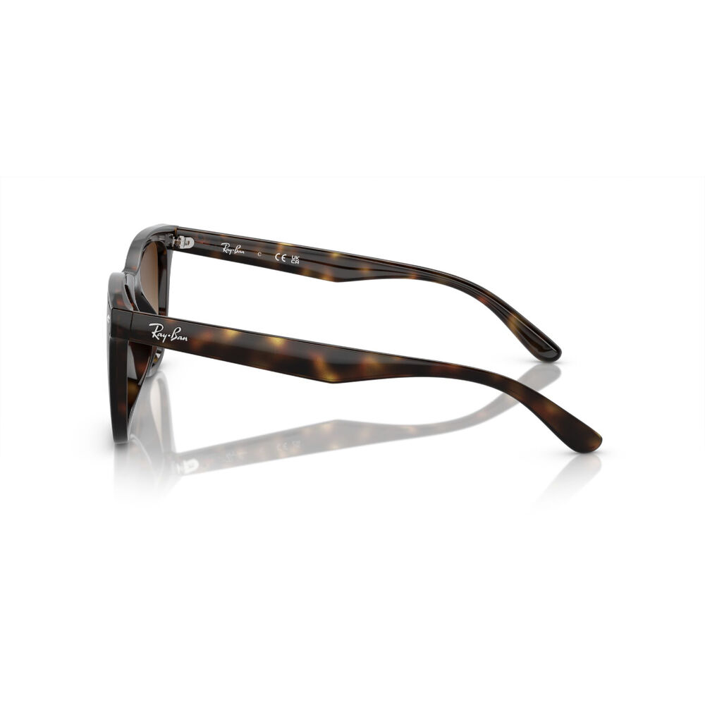 Lentes De Sol Havana Ray-ban image number 2.0