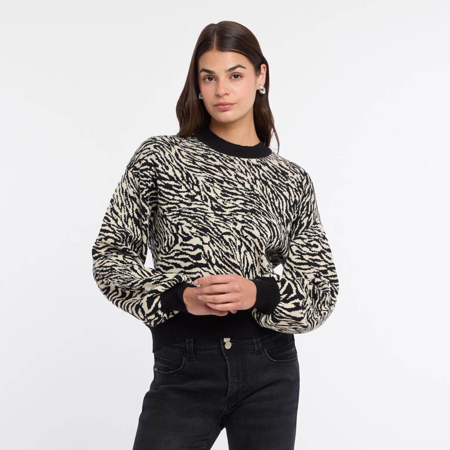 Sweater Jackard Regular Manga Larga Cuello Redondo Mujer Rolly Go image number 0.0
