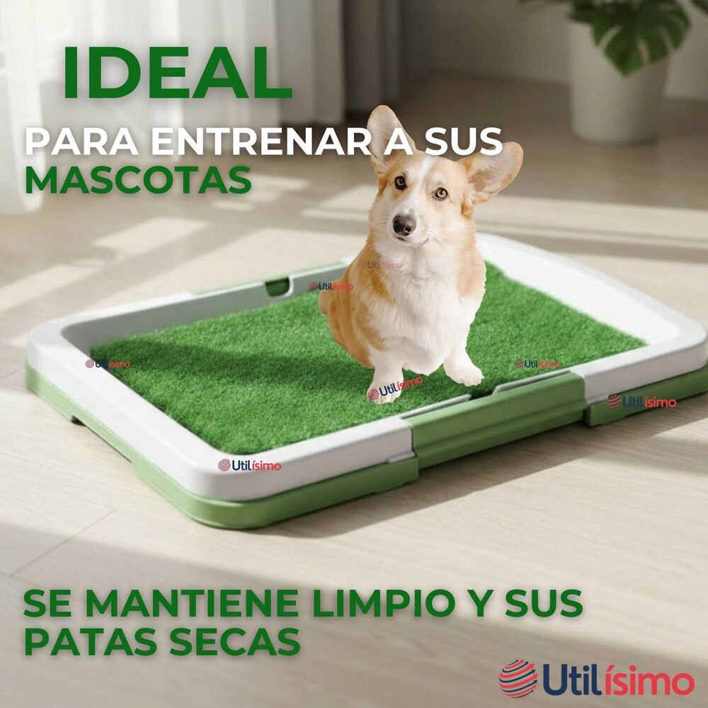 Baño Ecológico Reutilizable Para Perros Adiestramiento Mascotas image number 6.0
