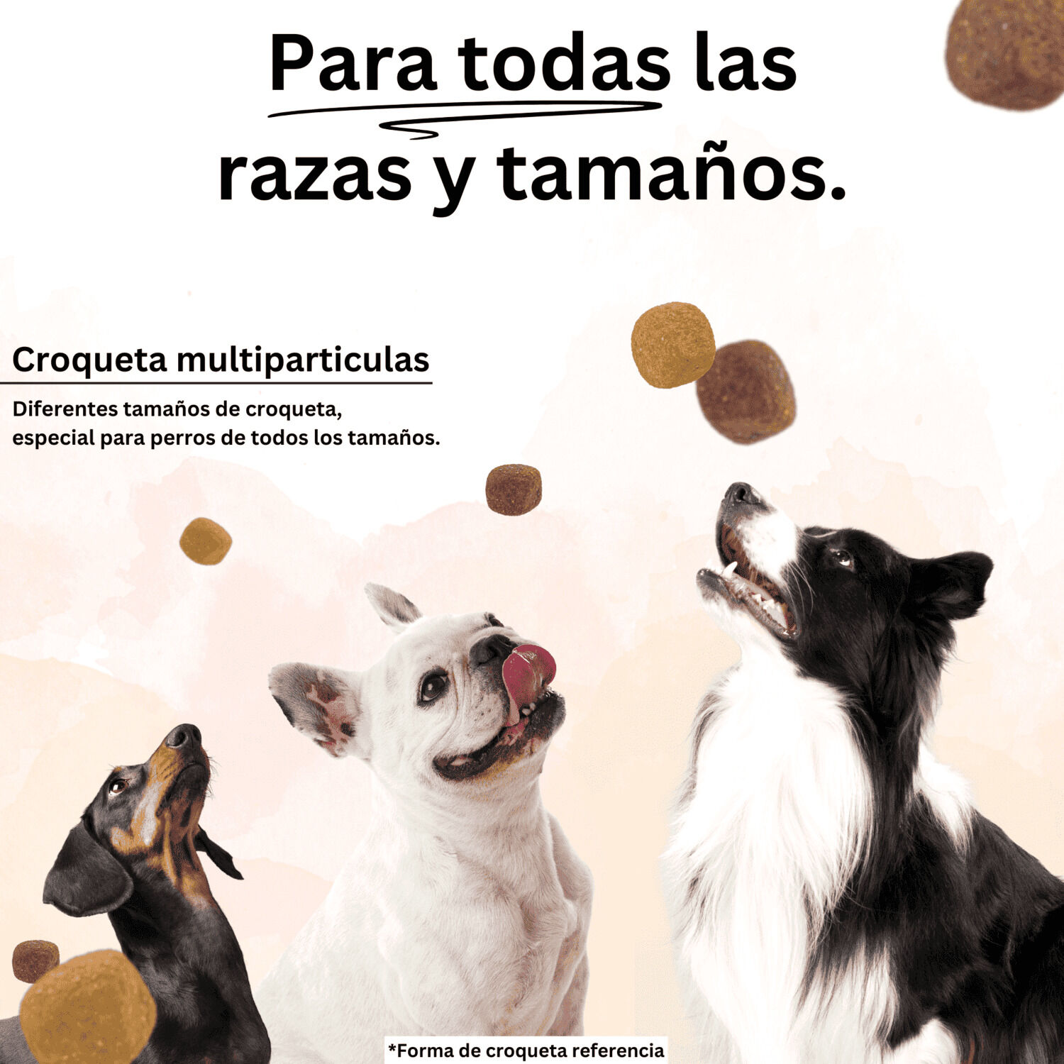 Alimento Para Perro Adulto Guardi&aacute;n 22kg image number 4.0