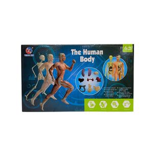 Kit De Aprendizaje Muñeco Cuerpo Humano 3d Para Niños