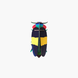 Pequeño Insecto - Jewel Beetle