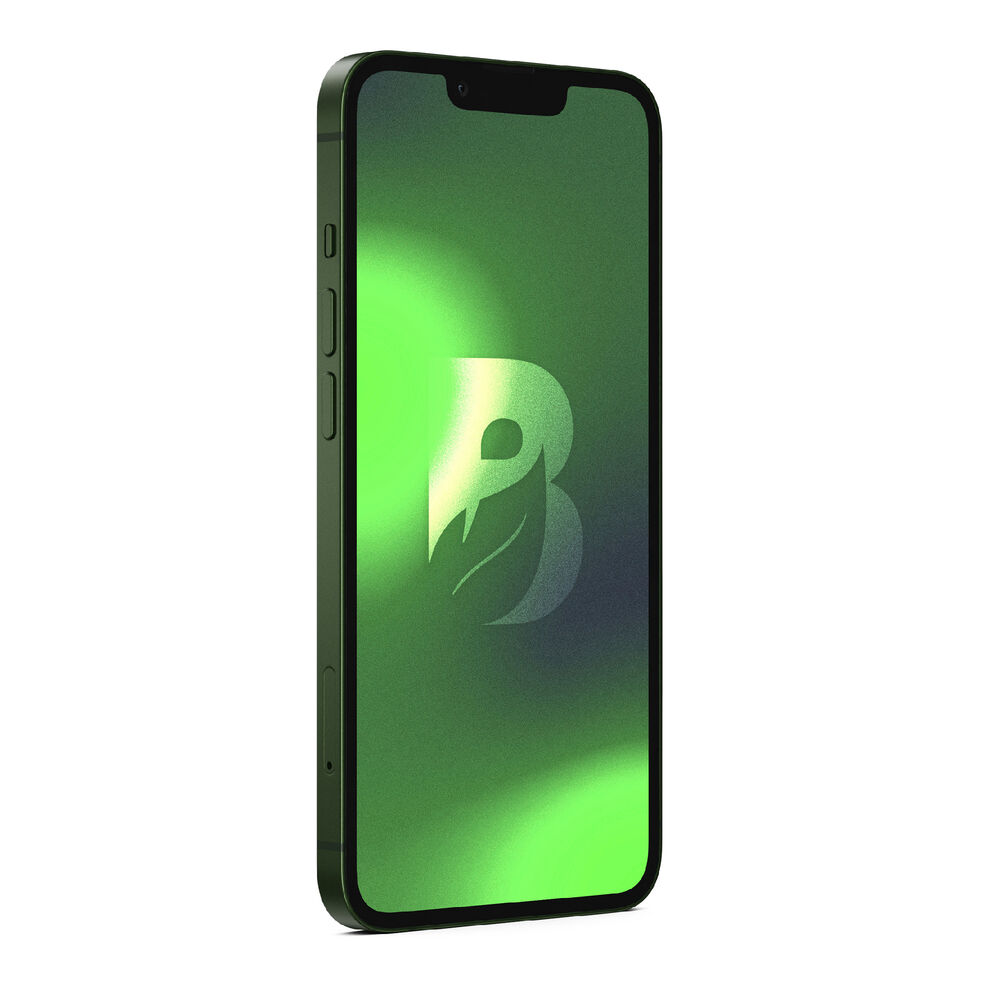 Iphone 13 128gb - Verde Alpino Recondicionado image number 2.0