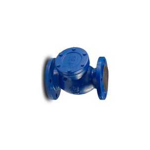 V&aacute;lvula De Retenci&oacute;n Chapaleta 2" Fe Pn16 Flowmak