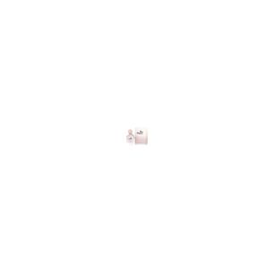 Salvatore Ferragamo Amo Per Lei Woman Edp 100ml
