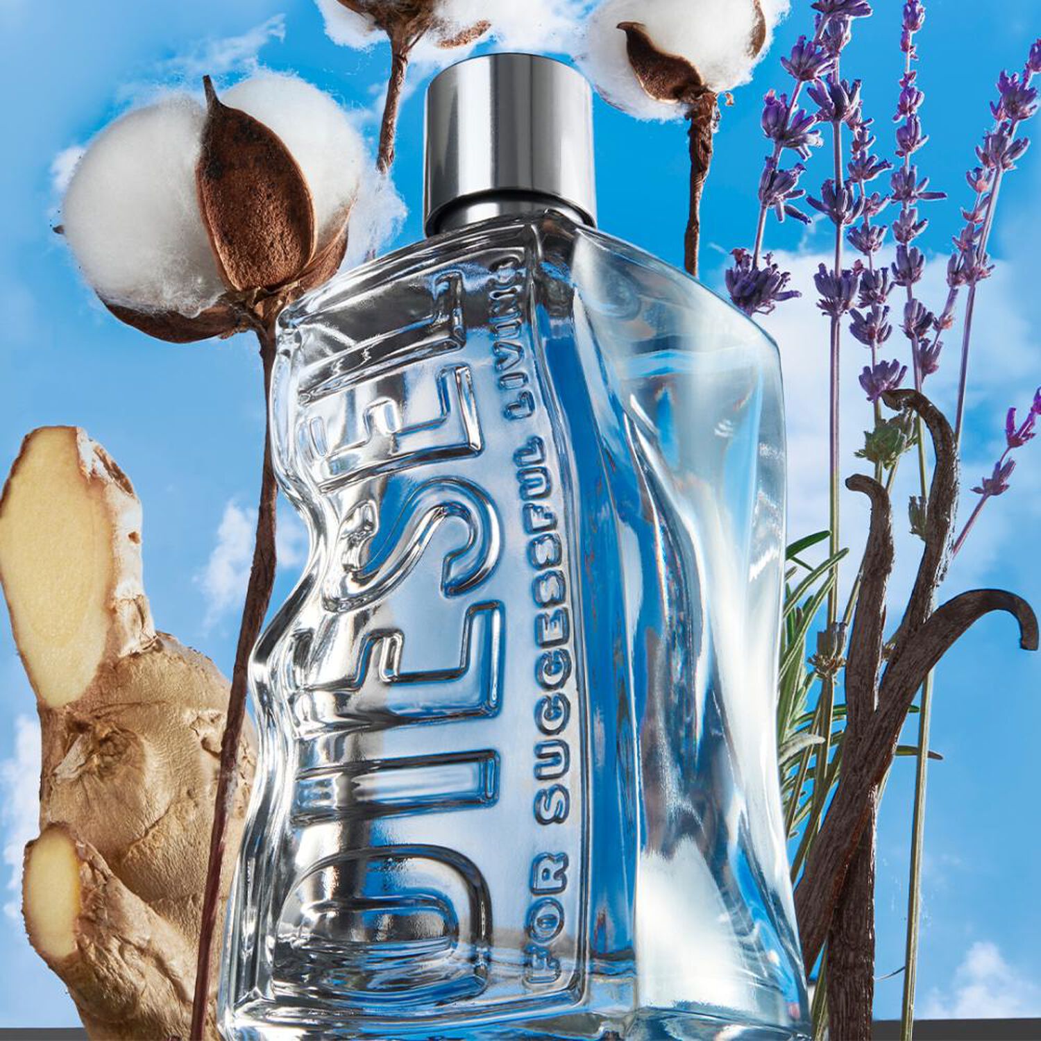 Perfume Unisex D By Diesel Diesel / 30 Ml / Eau De Toilette image number 3.0