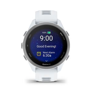 Smartwatch Forerunner 170 Whitestone/cloud Blue Garmin