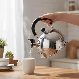 Tetera 2.5 Litros Acero Inoxidable Con Silbato Color Cromo