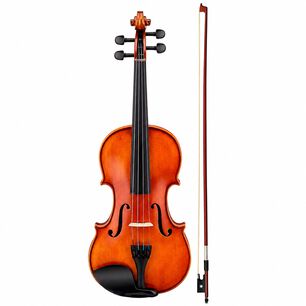 Viol&iacute;n 4/4 Profesional Con Estuche Tipo Case Y Arco - Ps