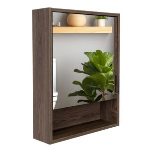 Botiquin 1 Puerta 60x46,5x13,6 Cm Caf&eacute; Oscuro