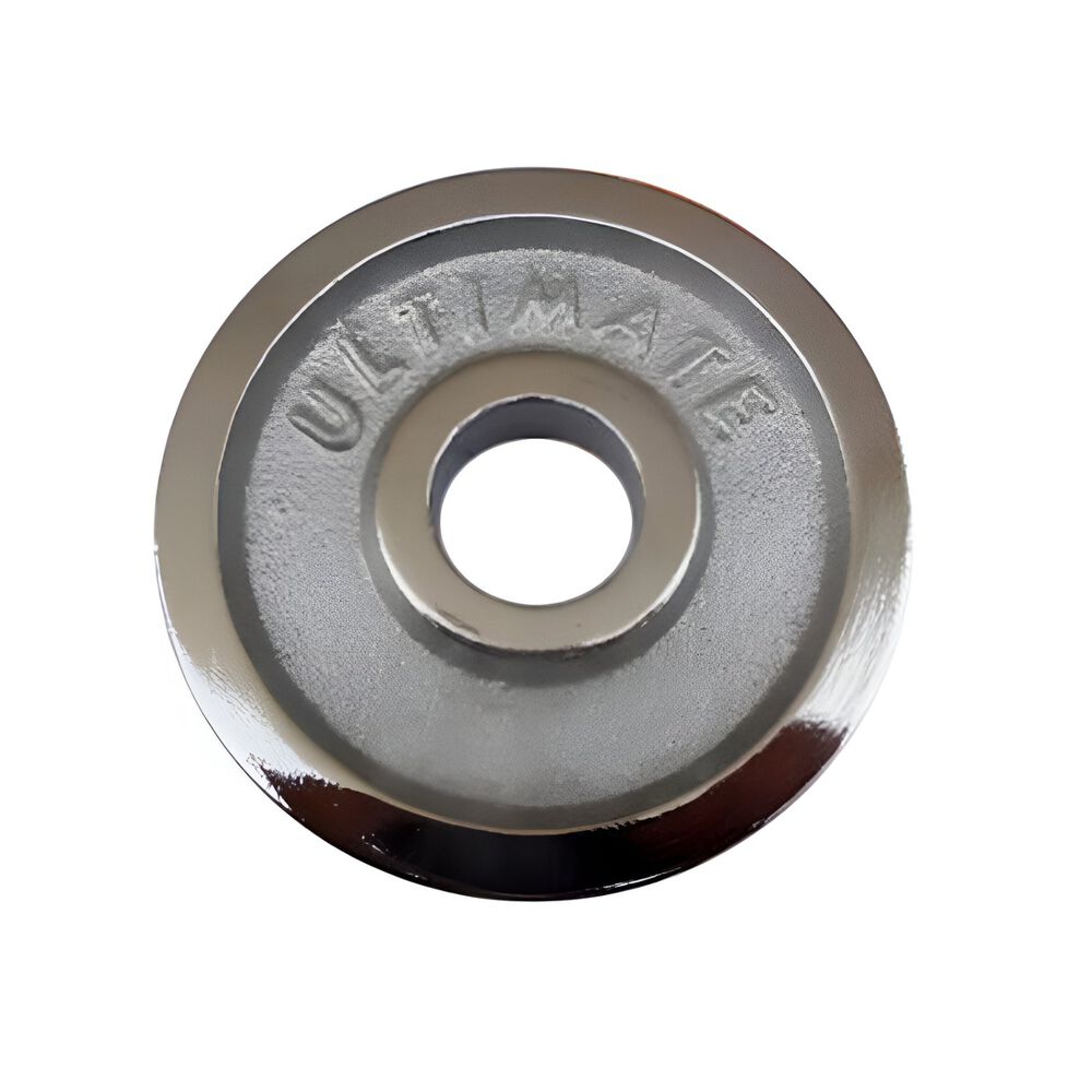 Disco Profesional Acero 15 Kg image number 0.0