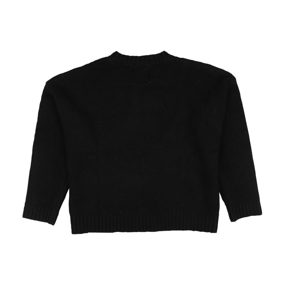 Sweater Aplicación En Centro Manga Larga Cuello Redondo Mujer Freedom image number 1.0