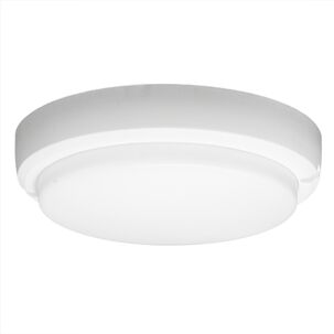 Luminaria Led Redonda Tortuga De 12w, Protección Ip44 Y Luz Día