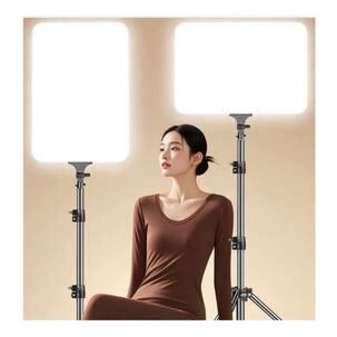 Panel De Luz Led Fotografia Video Rl-29 Con Control Remoto