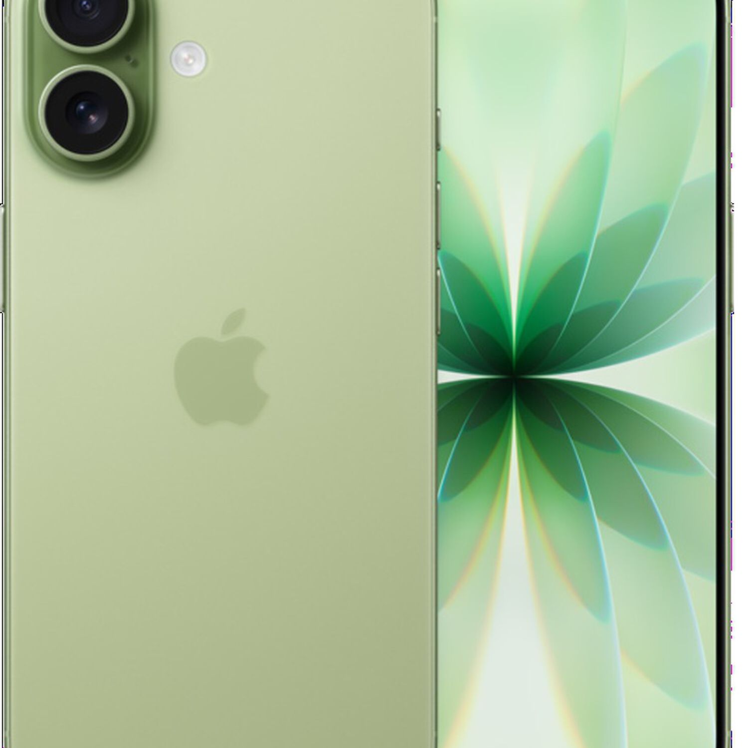 Iphone 17 256 Gb Verde (solo Compatible Con Esim) image number 0.0