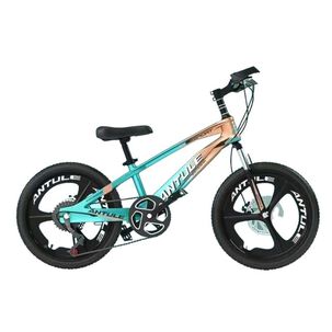Bicicleta Infantil 8-10 A&ntilde;os Aro 20 Lubabycas Verde