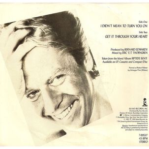 Robert Palmer - I Didn't Mean To Turn You On | 7" Single Vinilo Usado