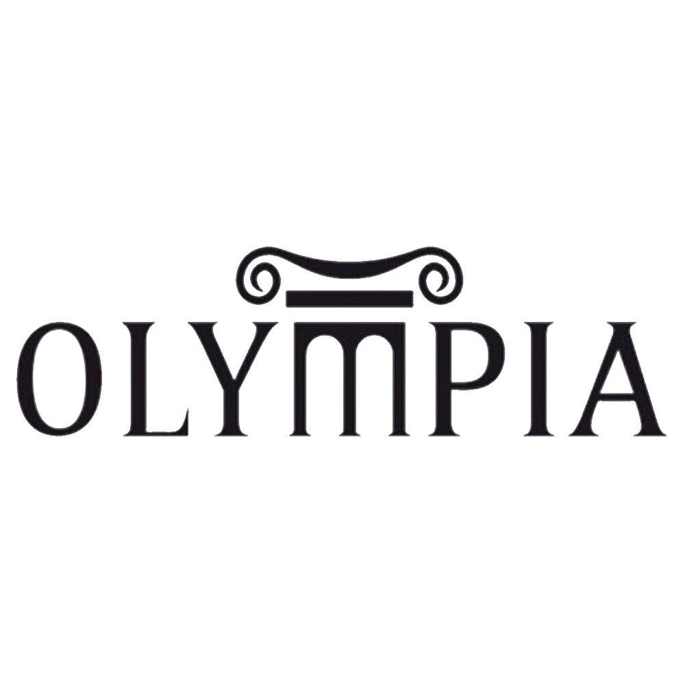 Set Guitarra Electroac&uacute;stica Ags120 Olympia image number 1.0