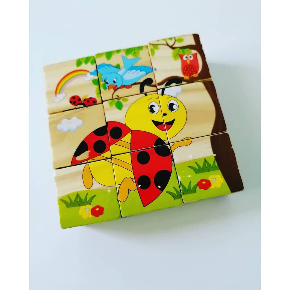 Cubos Rompecabezas Puzzles De Madera 6 Juegos En 1 Ni&ntilde;os image number 5.0
