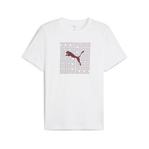 Polera Deportiva Hombre Puma Graphic Box Tee