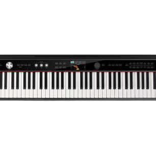 Piano Digital Port&aacute;til Npk-20 Nux