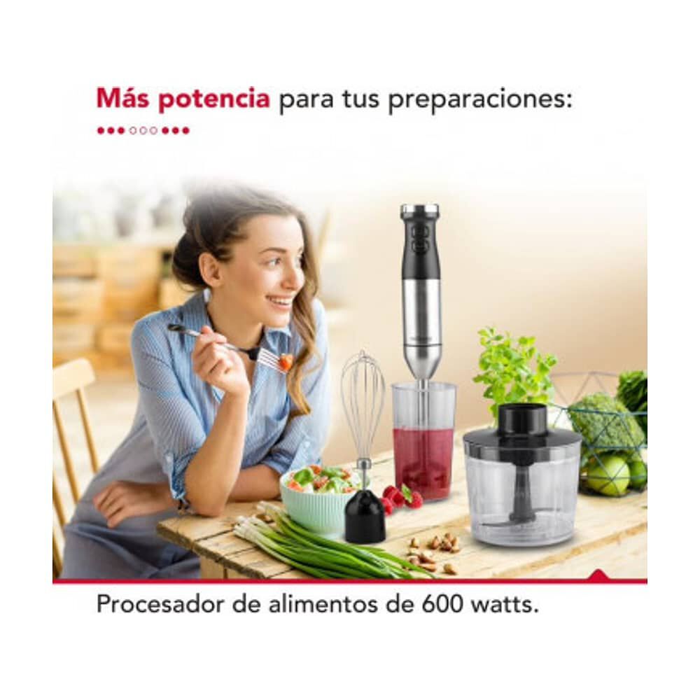 Minipimmer 4 Accesorios 600w Thor Hb Set 600 image number 6.0