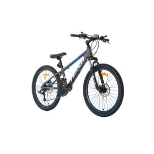 Bicicleta Totem Mtb Aro 24 Modelo Atlantis Gris