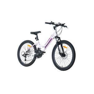 Bicicleta Totem Mtb Aro 24 Modelo Sitara Blanco