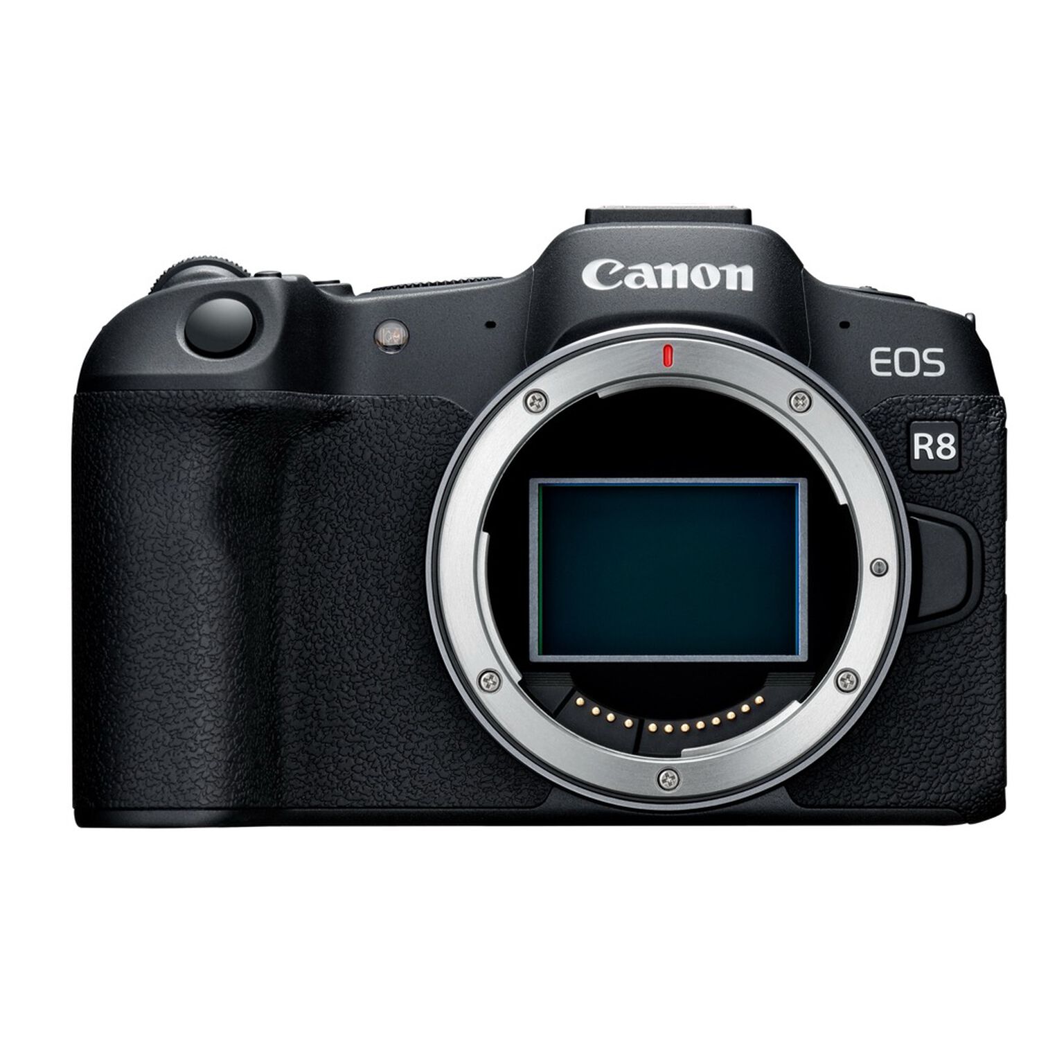 Canon Eos R8 Mirrorless Body Full Frame 24.2 Mp 4k Negro image number 2.0