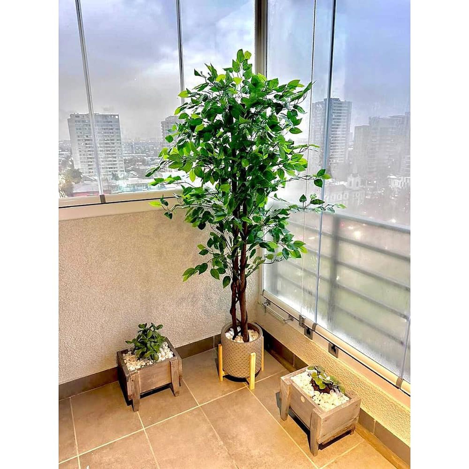 2 X 1 Plantas Artificiales Premium Ficus 160 Cm image number 1.0