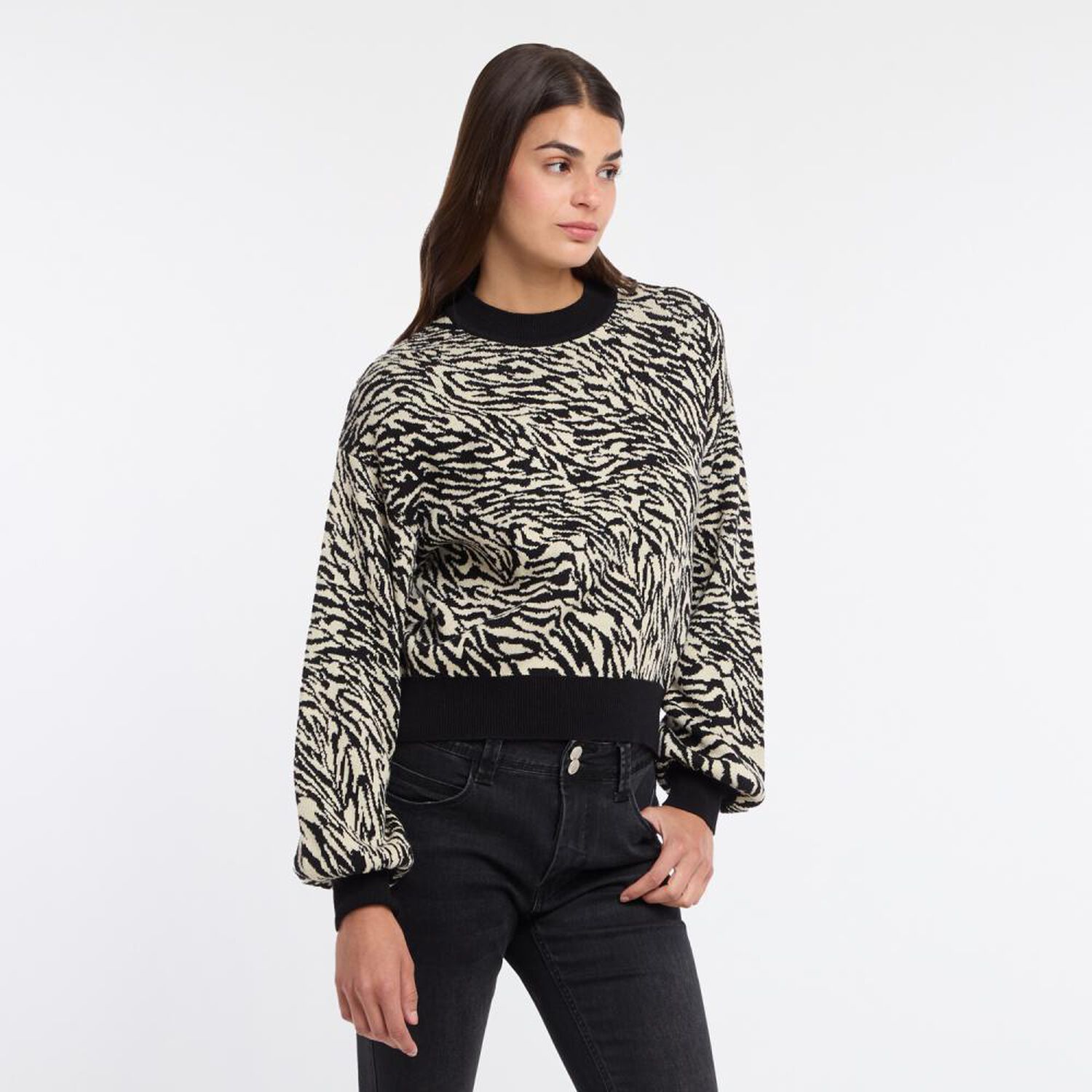 Sweater Jackard Regular Manga Larga Cuello Redondo Mujer Rolly Go image number 2.0
