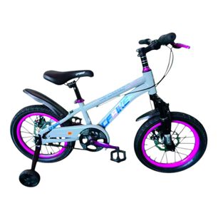 Bicicleta Aro 16 Cfbike Cfeng Con Freno Disco Gris